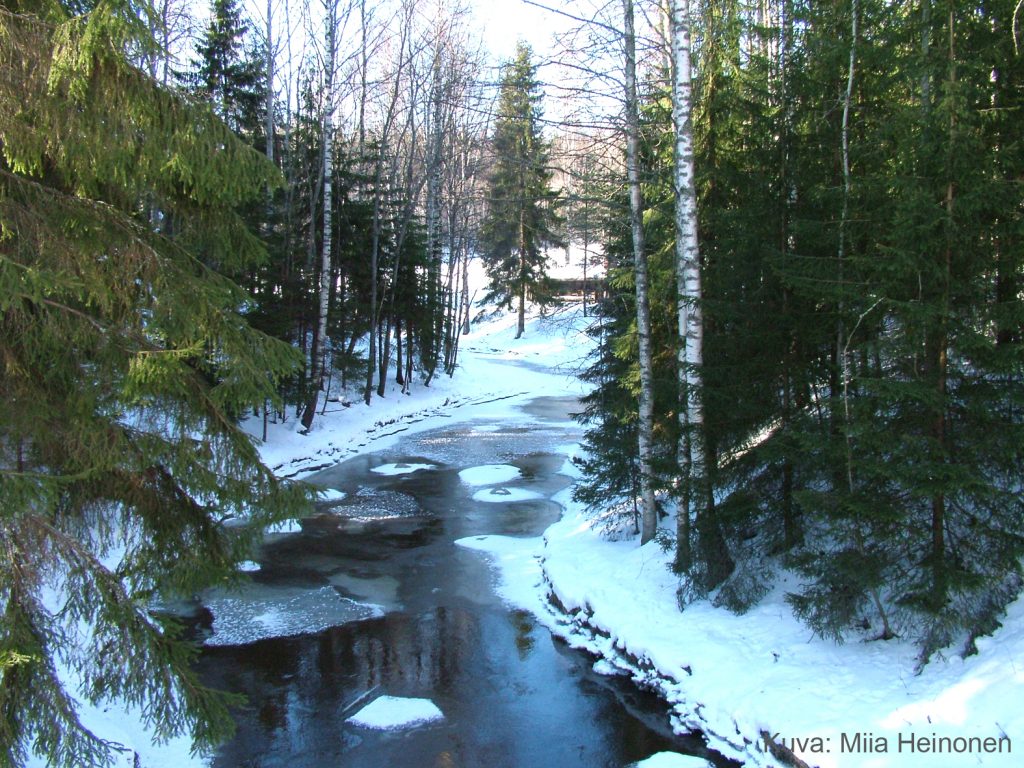 Vantaanjoki talvella 2005